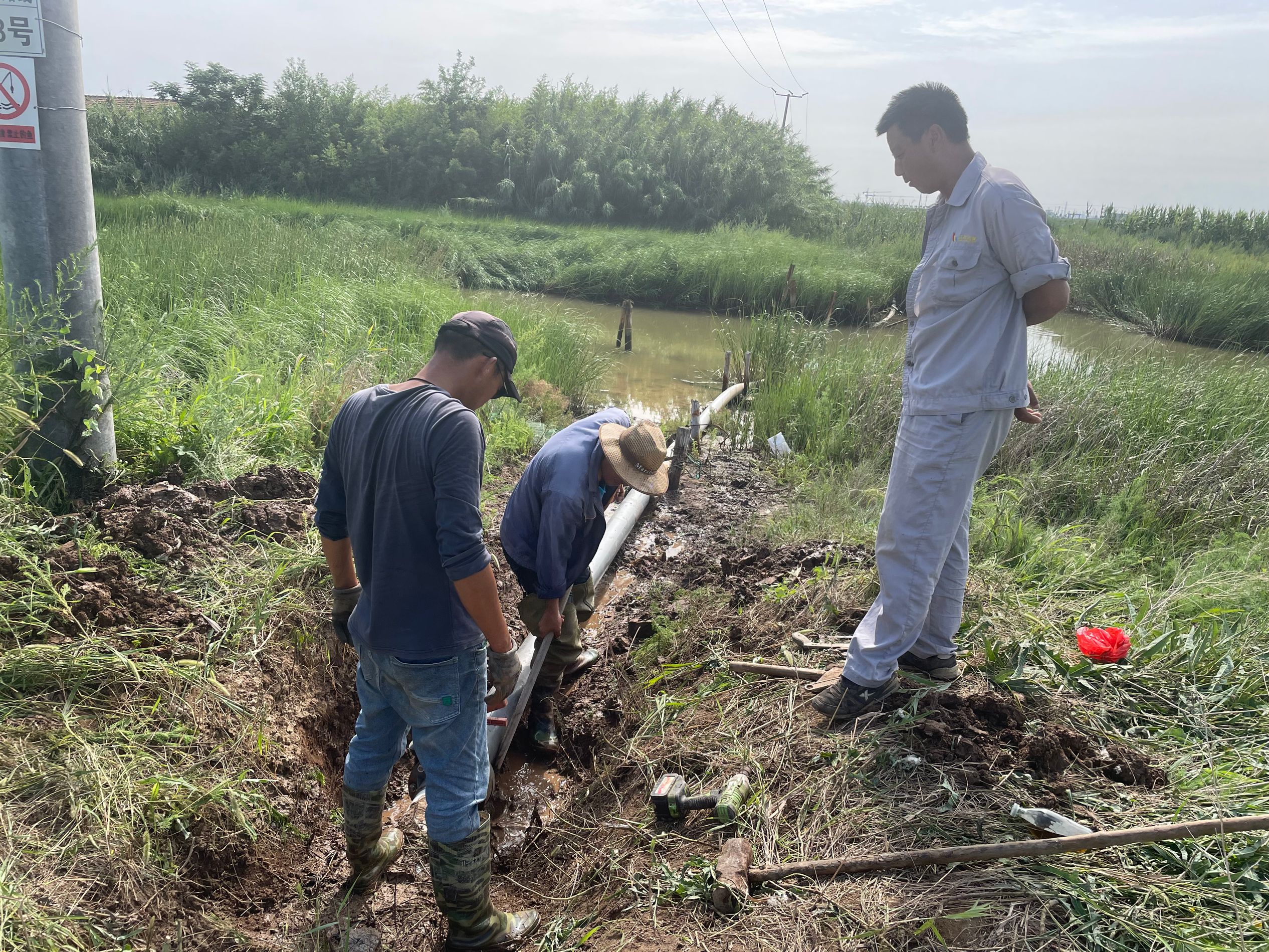 337629730AE5E662085EC4E29C9C1DEA.png 337629730AE5E662085EC4E29C9C1DEA.png